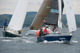 bluefin gbr2555c oystercatcher 3245c whyw16 tues 800 2794w